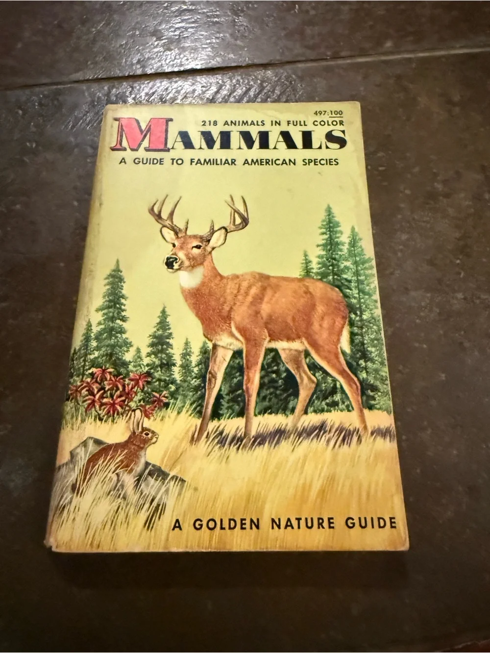 VTG Mammals: A Golden Nature Guide - Yellow Illustrated Cover